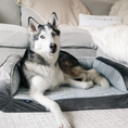 Load image into Gallery viewer, PupChill™ Cooling Bolster Dog Bed + Waterproof Blanket Bundle - Arctic Grey
