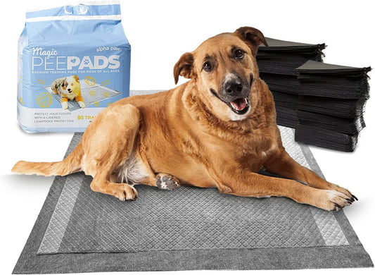 Magic Pee Pads XL