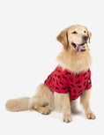 Load image into Gallery viewer, Big Dog Animal Print Pajamas
