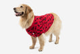 Load image into Gallery viewer, Big Dog Animal Print Pajamas
