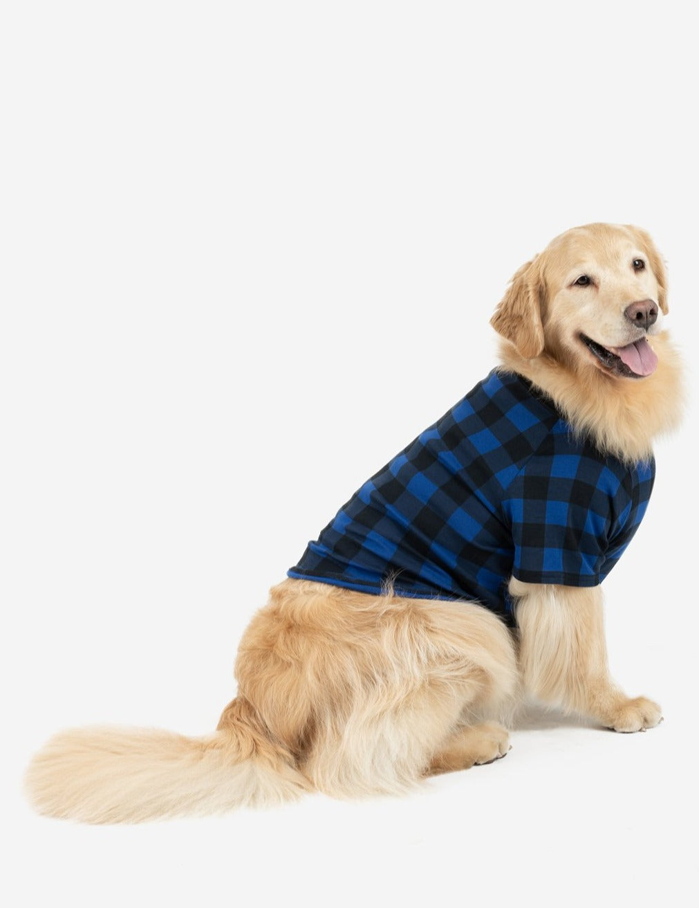 Big Dog Plaid Pajamas