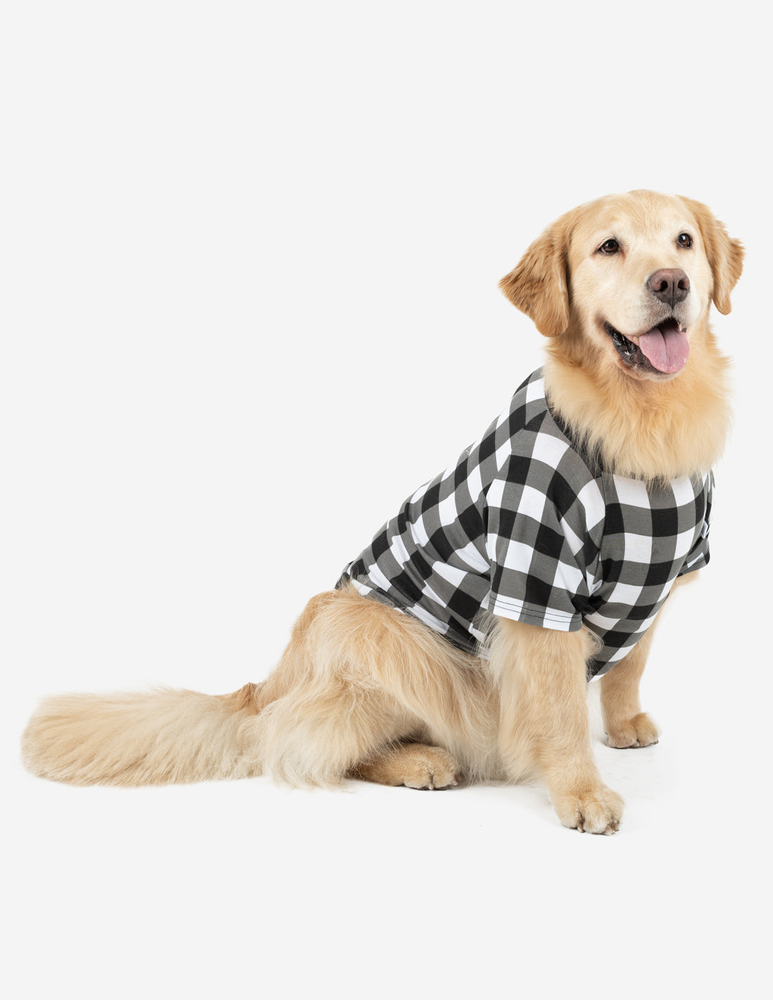 Big Dog Plaid Pajamas