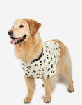 Load image into Gallery viewer, Big Dog Animal Print Pajamas
