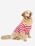 Load image into Gallery viewer, Big Dog Red & White Stripes Pajamas
