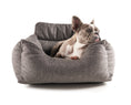 Load image into Gallery viewer, PupProtector™ Memory Foam Dog Car Bed
