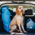 Load image into Gallery viewer, PupRug by Paw.com™ Portable Orthopedic Dog Bed - White with Brown Accents
