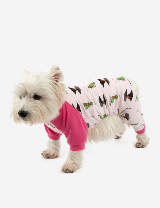 Dog Pink Dinosaur Pajamas