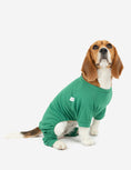 Load image into Gallery viewer, Dog's Solid Classic Color Pajamas
