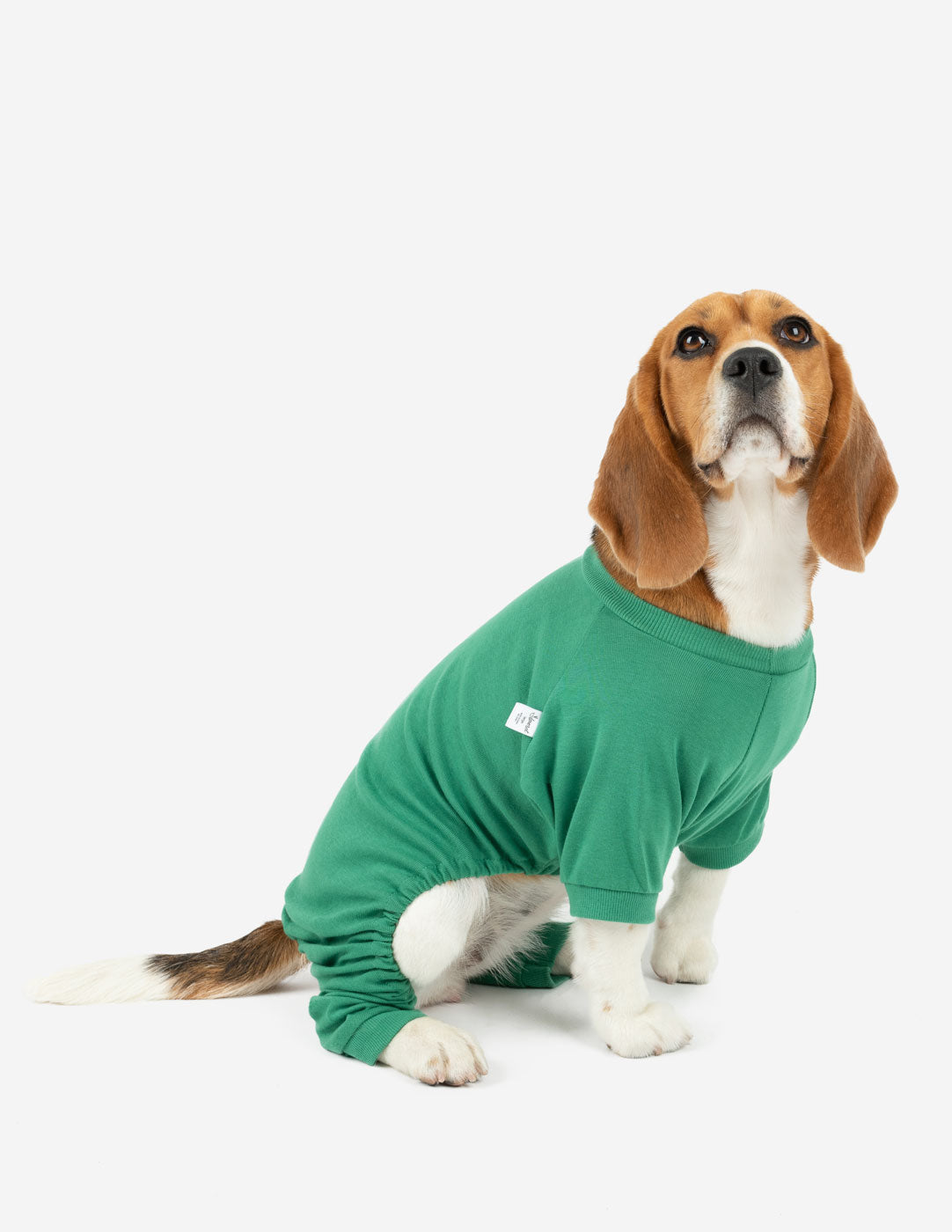 Dog's Solid Classic Color Pajamas