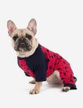 Load image into Gallery viewer, Dog Hearts Pajamas
