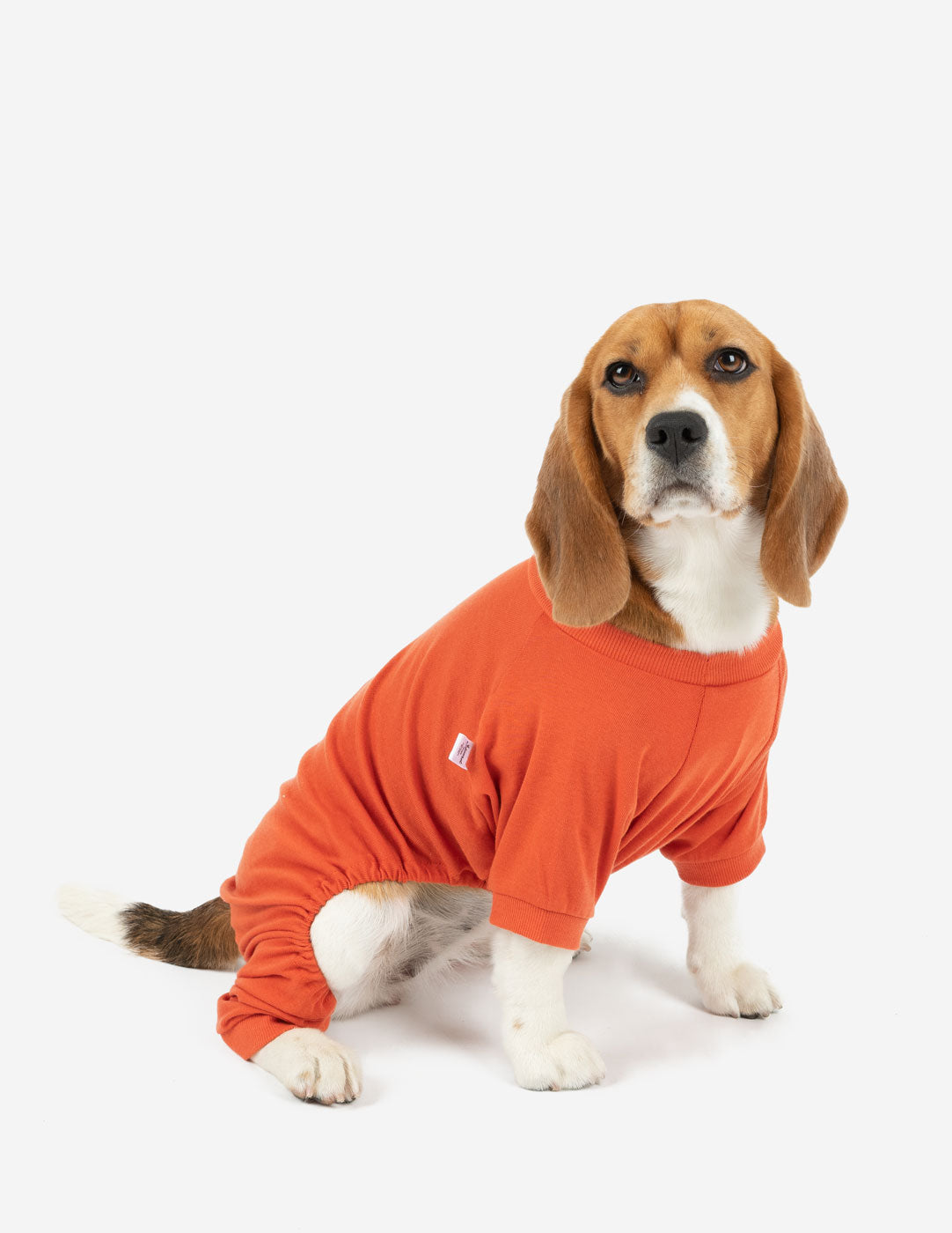 Dog's Solid Classic Color Pajamas