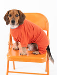 Load image into Gallery viewer, Dog's Solid Classic Color Pajamas
