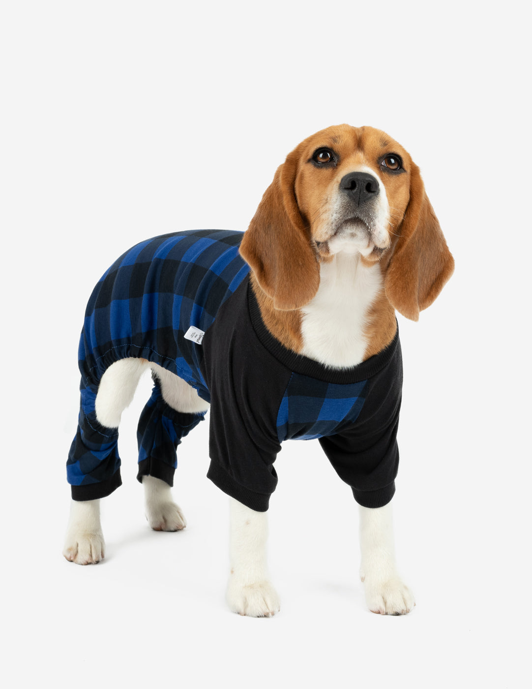 Dog Black & Navy Plaid Pajamas