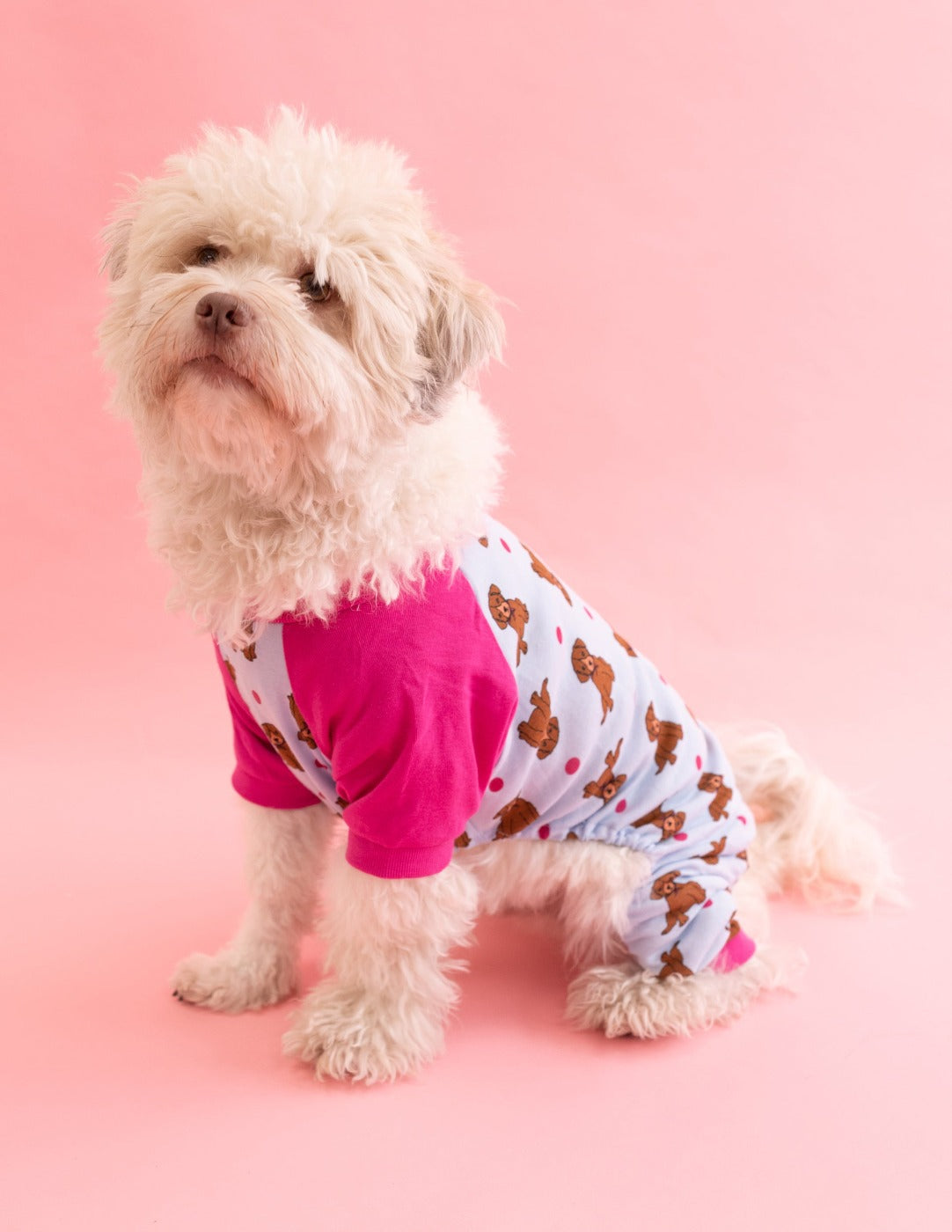 Dog Cotton Puppy Pajamas