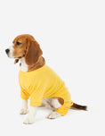 Load image into Gallery viewer, Dog's Solid Classic Color Pajamas
