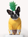 Load image into Gallery viewer, Dog's Solid Classic Color Pajamas
