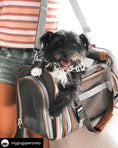 Load image into Gallery viewer, Mr. Peanut's Gold Series Big Apple XL Size Airline Compliant Expandable Pet Carrier
