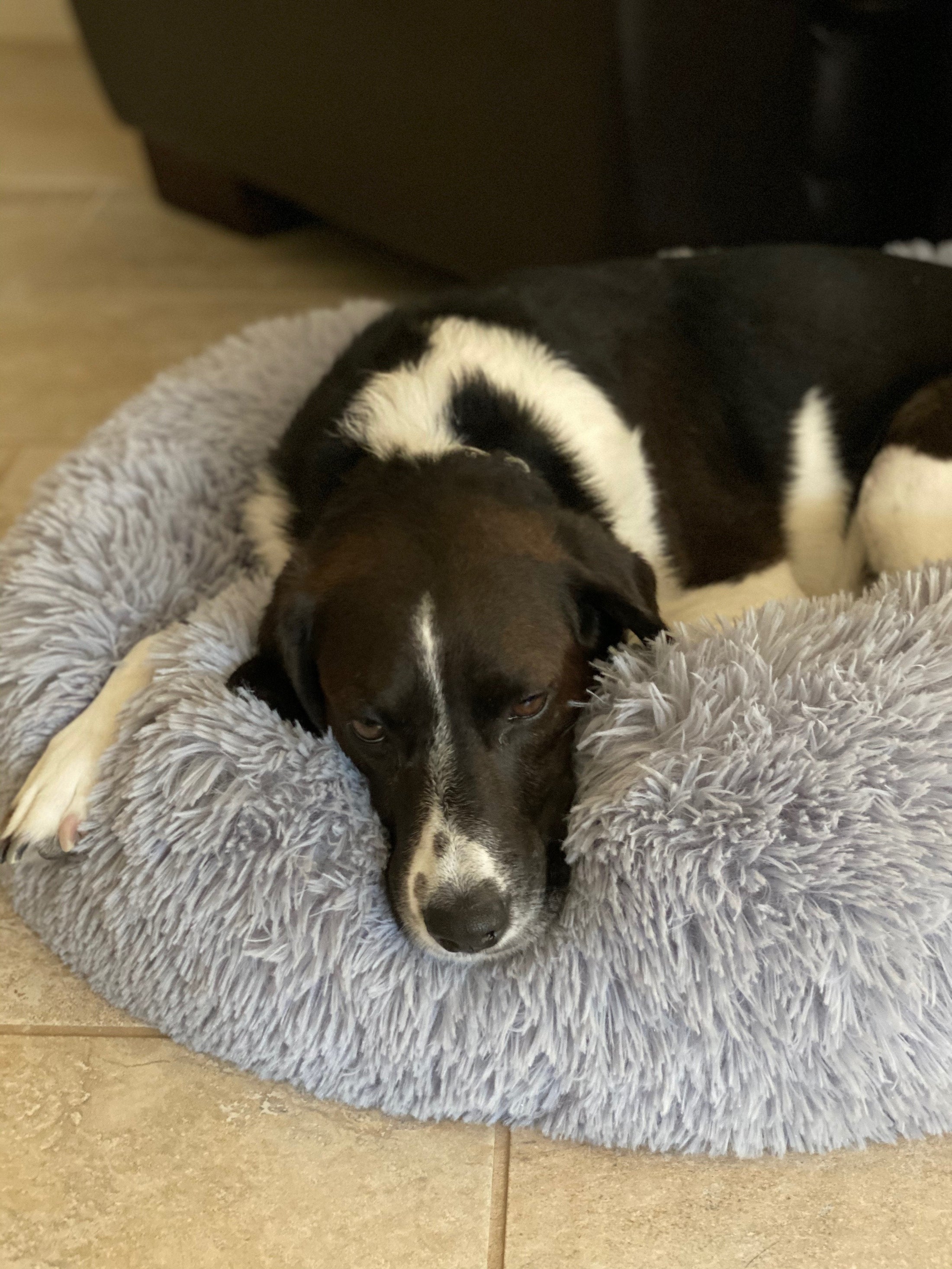 Mr. Peanut's 23" OrthoPlush® Pet Bed - Gray Two Tone