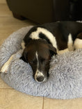 Load image into Gallery viewer, Mr. Peanut's 28" OrthoPlush® Pet Bed - Snowflake White Two Tone
