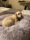 Load image into Gallery viewer, Mr. Peanut's 28" OrthoPlush® Pet Bed - Snowflake White Two Tone
