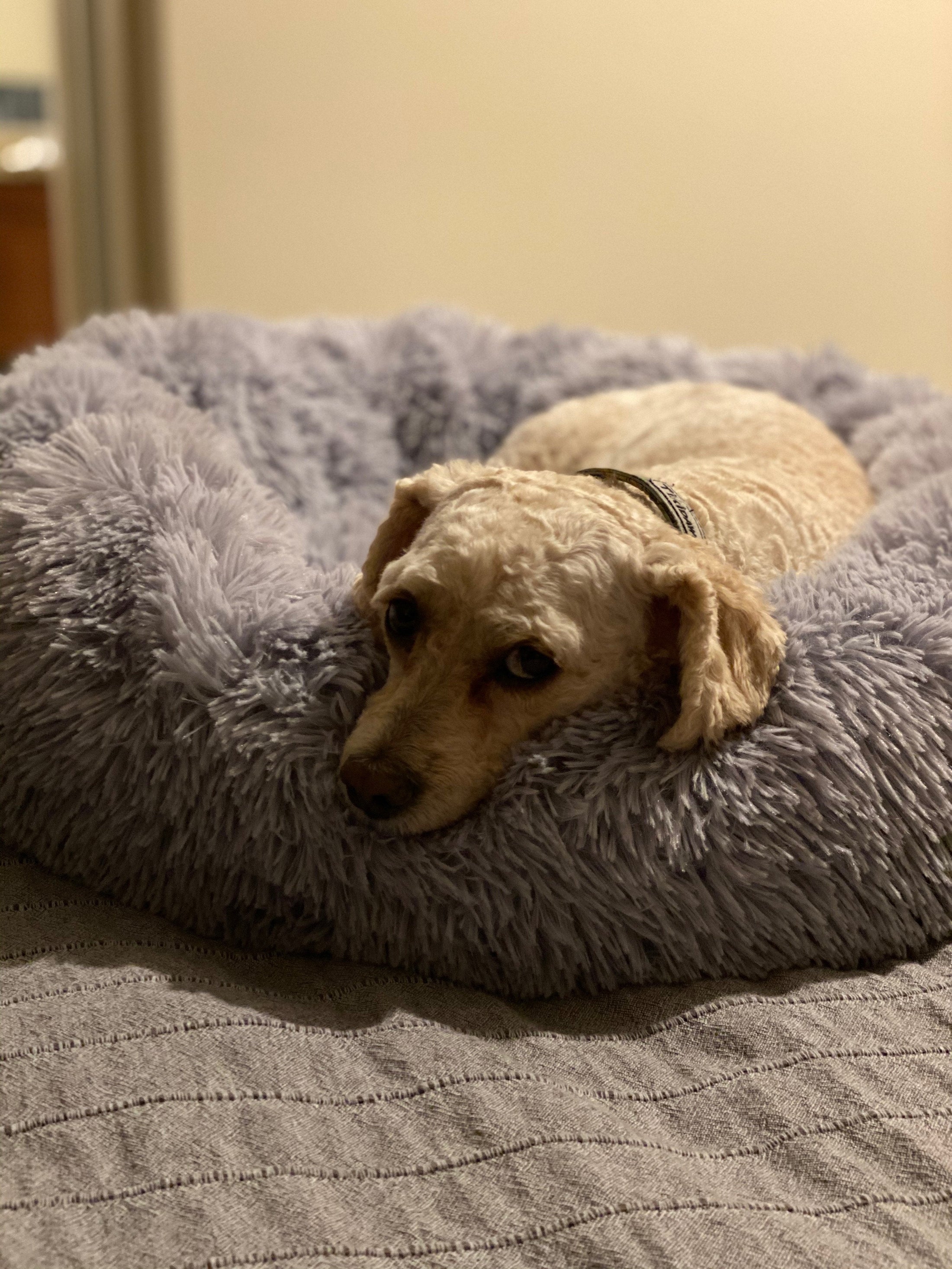 Mr. Peanut's 28" OrthoPlush® Pet Bed - Snowflake White Two Tone