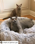 Load image into Gallery viewer, Mr. Peanut's 23" OrthoPlush® Pet Bed - Gray Two Tone
