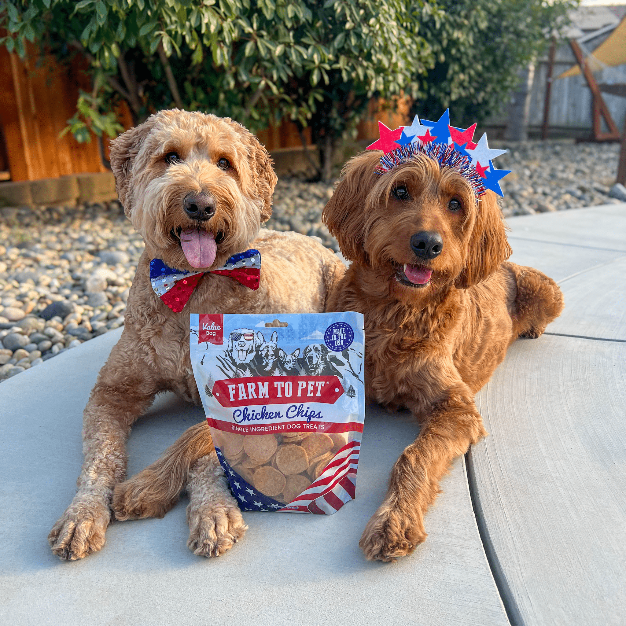 Americana Chicken Chips for Dogs