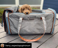 Load image into Gallery viewer, Mr. Peanut's Gold Series Big Apple XL Size Airline Compliant Expandable Pet Carrier
