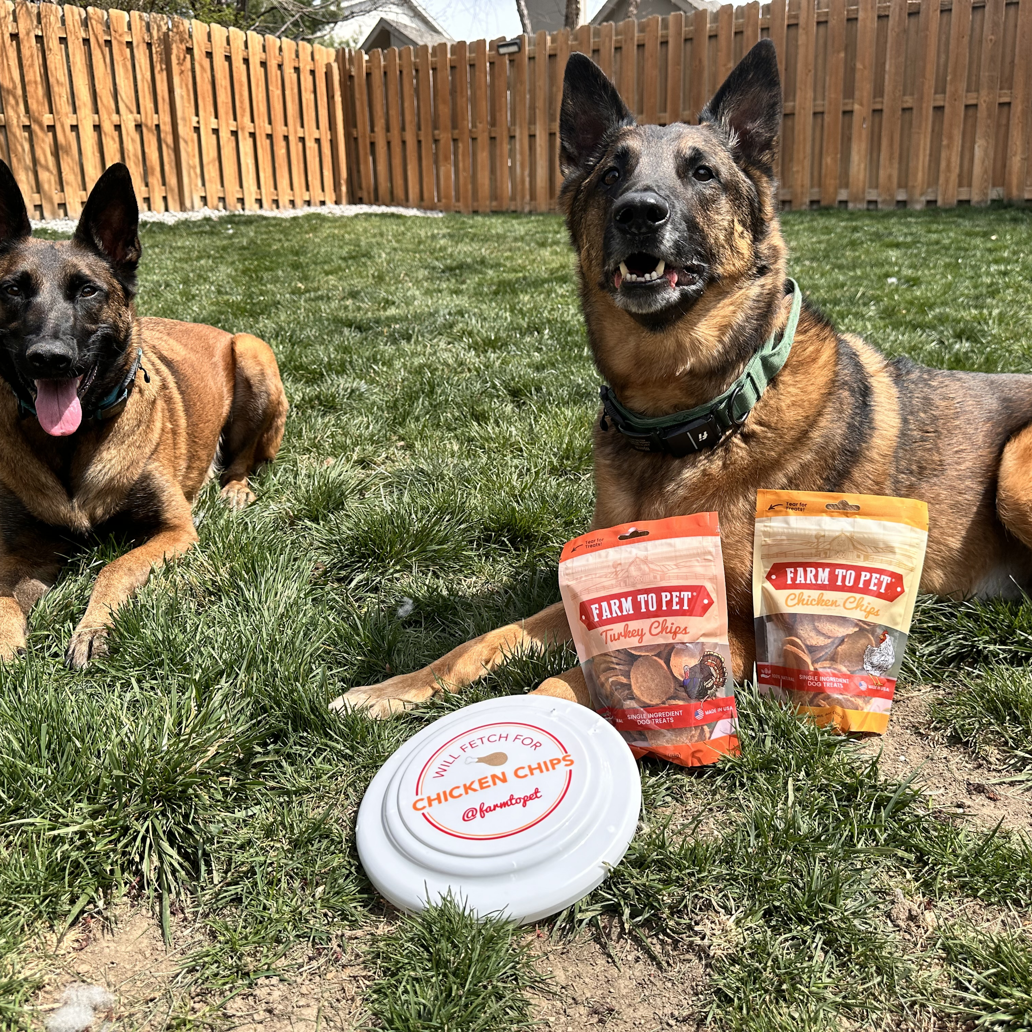 Chicken & Turkey Dog Treat Bundles