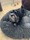 Load image into Gallery viewer, Mr. Peanut's 23" OrthoPlush® Pet Bed - Gray Two Tone
