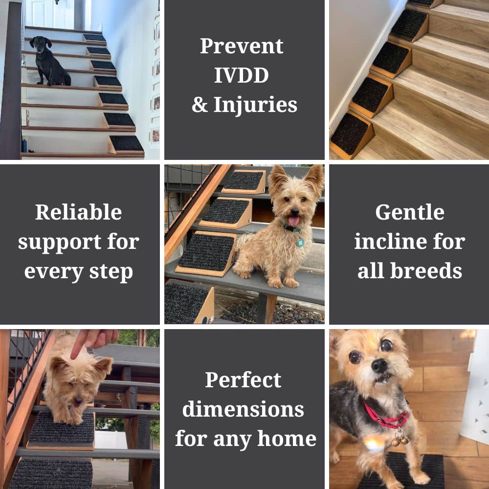 Stairwedge - Modular Pet Ramp for Any Staircase