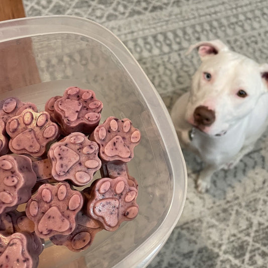 BoneItUp® Homemade Dog Treats Kit