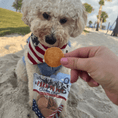 Load image into Gallery viewer, Americana Chicken Chips for Dogs
