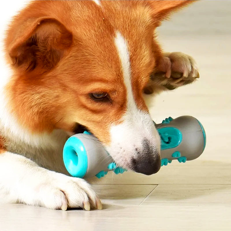 Brush Bone: Teeth Cleaning Toy for Dogs