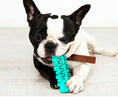 Load image into Gallery viewer, Brush Bone: Teeth Cleaning Toy for Dogs
