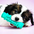 Load image into Gallery viewer, Brush Bone: Teeth Cleaning Toy for Dogs
