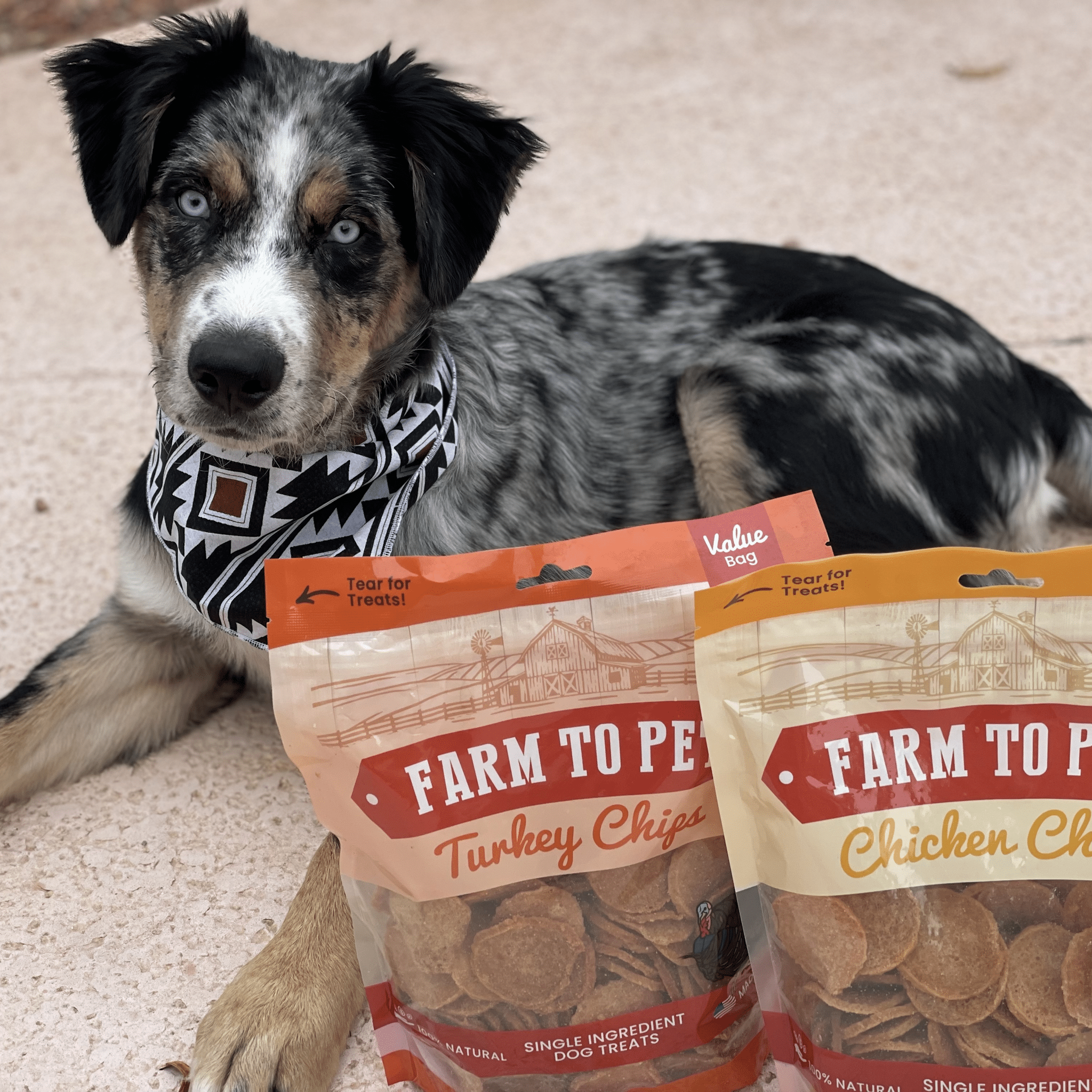 Chicken & Turkey Dog Treat Bundles