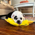 Load image into Gallery viewer, Crackle Pets: Dog Sensory Toys
