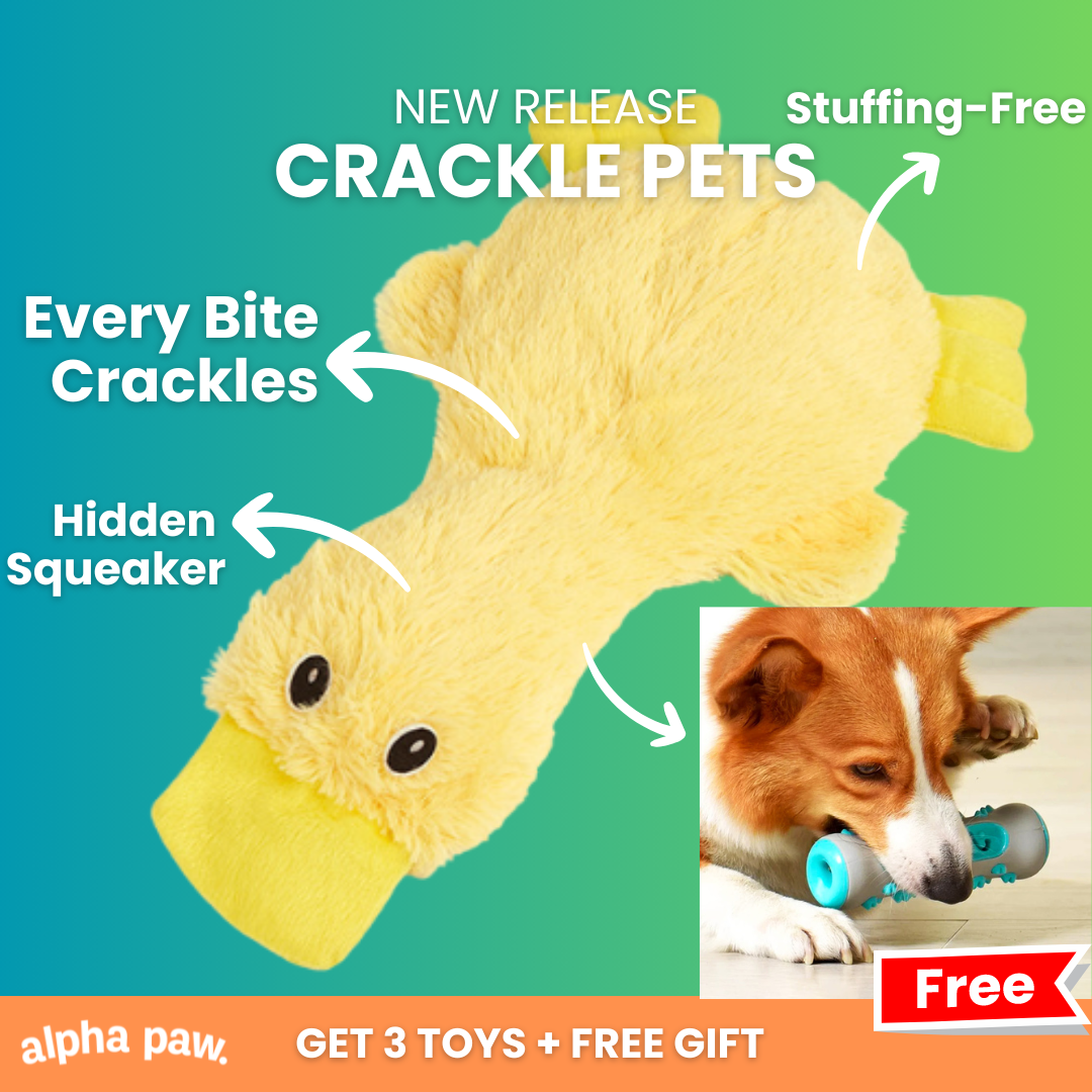 Crackle Pets: Bored Dog Bundle