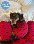 Load image into Gallery viewer, Dog Hearts Pajamas
