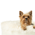 Load image into Gallery viewer, PupPouf™ Luxe Faux Fur Donut Dog Bed - Plush Sheep Ivory
