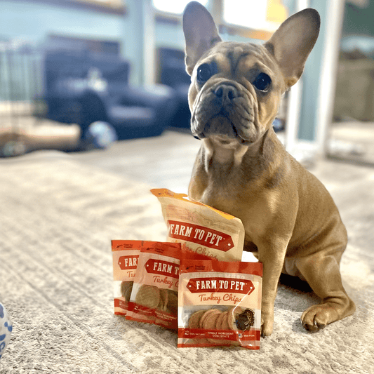 Puppy Packs 'N Snacks Dog Treat Starter