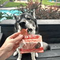 Load image into Gallery viewer, Turkey Chip Snack Pack Bundles
