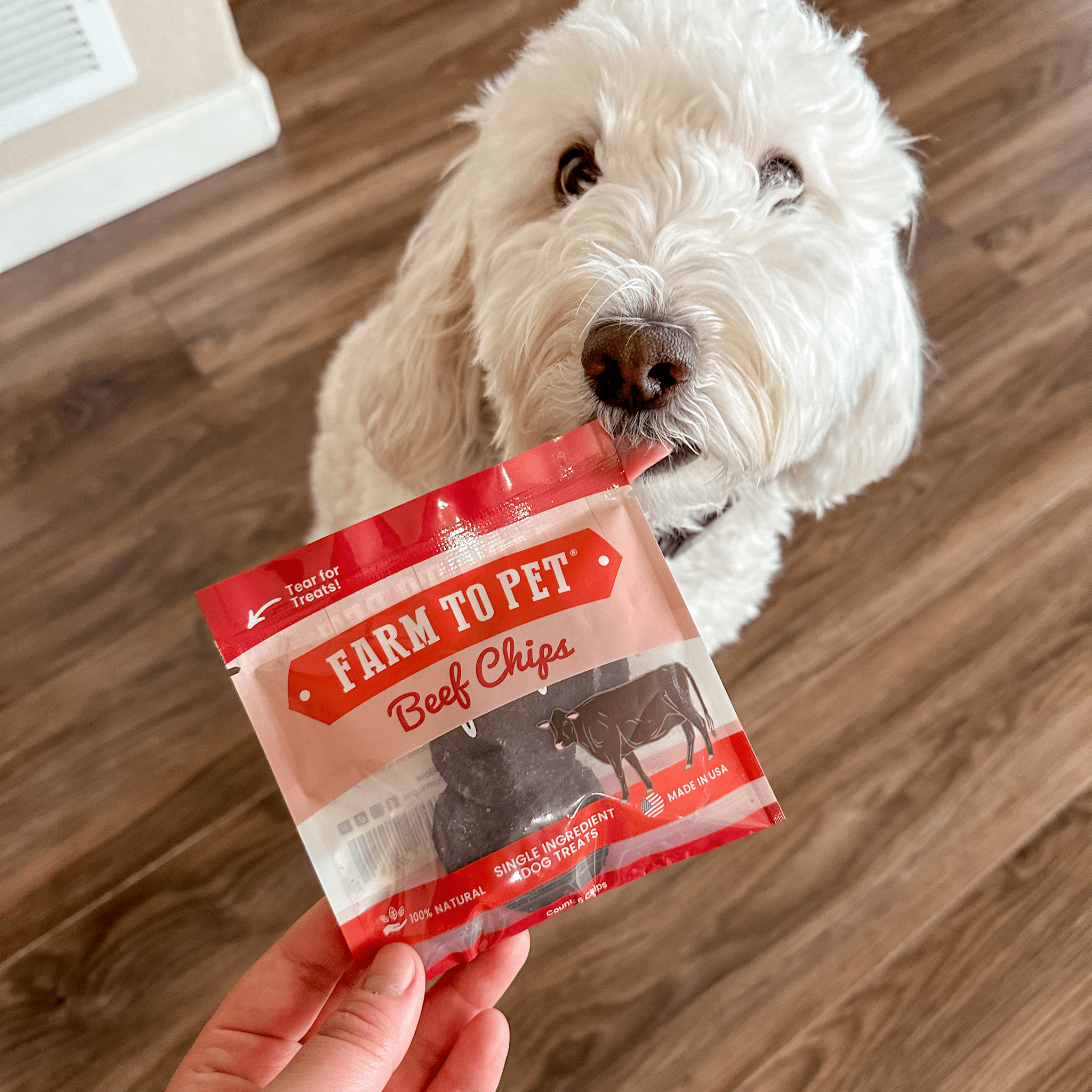 Puppy Packs 'N Snacks Dog Treat Starter