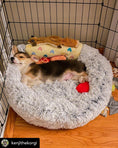 Load image into Gallery viewer, Mr. Peanut's 28" OrthoPlush® Pet Bed - Snowflake White Two Tone
