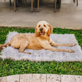 Load image into Gallery viewer, PupRug by Paw.com™ Portable Orthopedic Dog Bed - Grey
