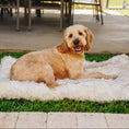 Load image into Gallery viewer, PupRug by Paw.com™ Portable Orthopedic Dog Bed - White with Brown Accents
