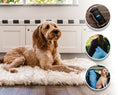 Load image into Gallery viewer, PupRug by Paw.com™ Portable Orthopedic Dog Bed - White with Brown Accents
