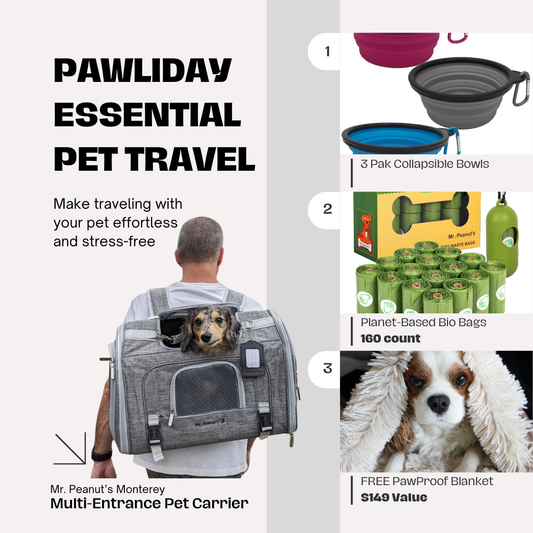 Paw-liday Travel Essentials Bundle