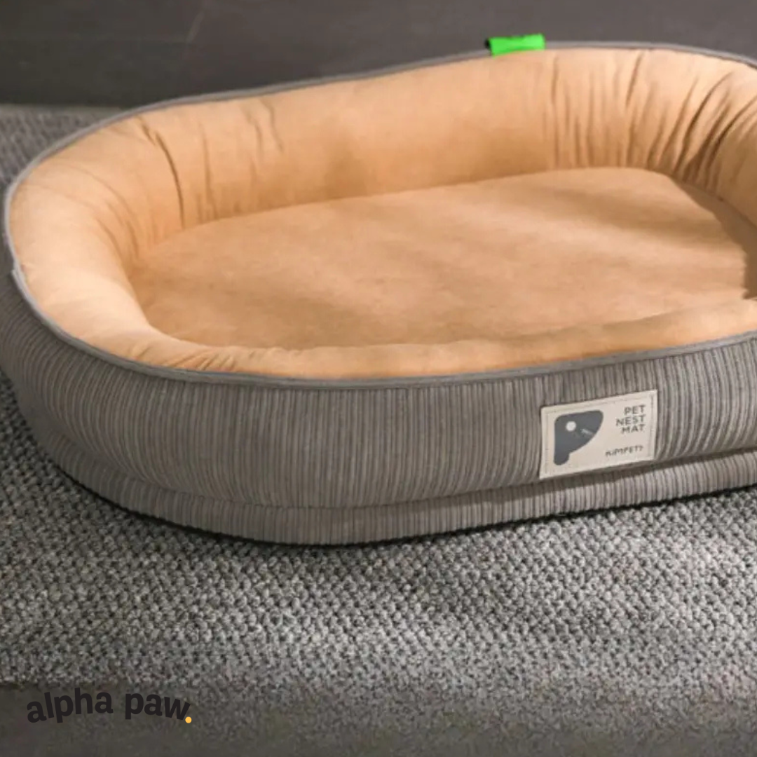 Pampered Pet: Plush Comfort Sleeper